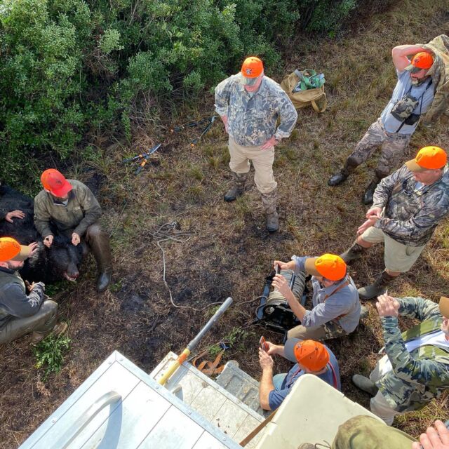 They say “Teamwork makes the dream work.” At LUX we like to think that “Teamwork makes the dream come true!” When a big bear goes down in the woods it takes a team of people to get him out. And that same team is there to celebrate the accomplishment of the hunter bagging that “Dream Bear!”
•
•
For more details about our all inclusive black bear hunts visit luxhunting.com or contact Josh at josh@luxhunting.com for availability and rates. 
•
•
#luxhunting #blackbear #hydecounty #blackbearhunting #bearhunting #getoutdoors #sickforit #kuiunation #sportsmanchannel #cabelas #vortexoptics #outdoorchannel #gohunt #jimshockey #huntinfool #worldwidetrophyadventures #bearhuntingmagazine #trophyexpeditions #winchester #sci #wildsheepfoundation #kanatitaxidermy #wrenandivy #modernhuntsman #grandslamclubovis #gofurther #fueledbynature #taggedout